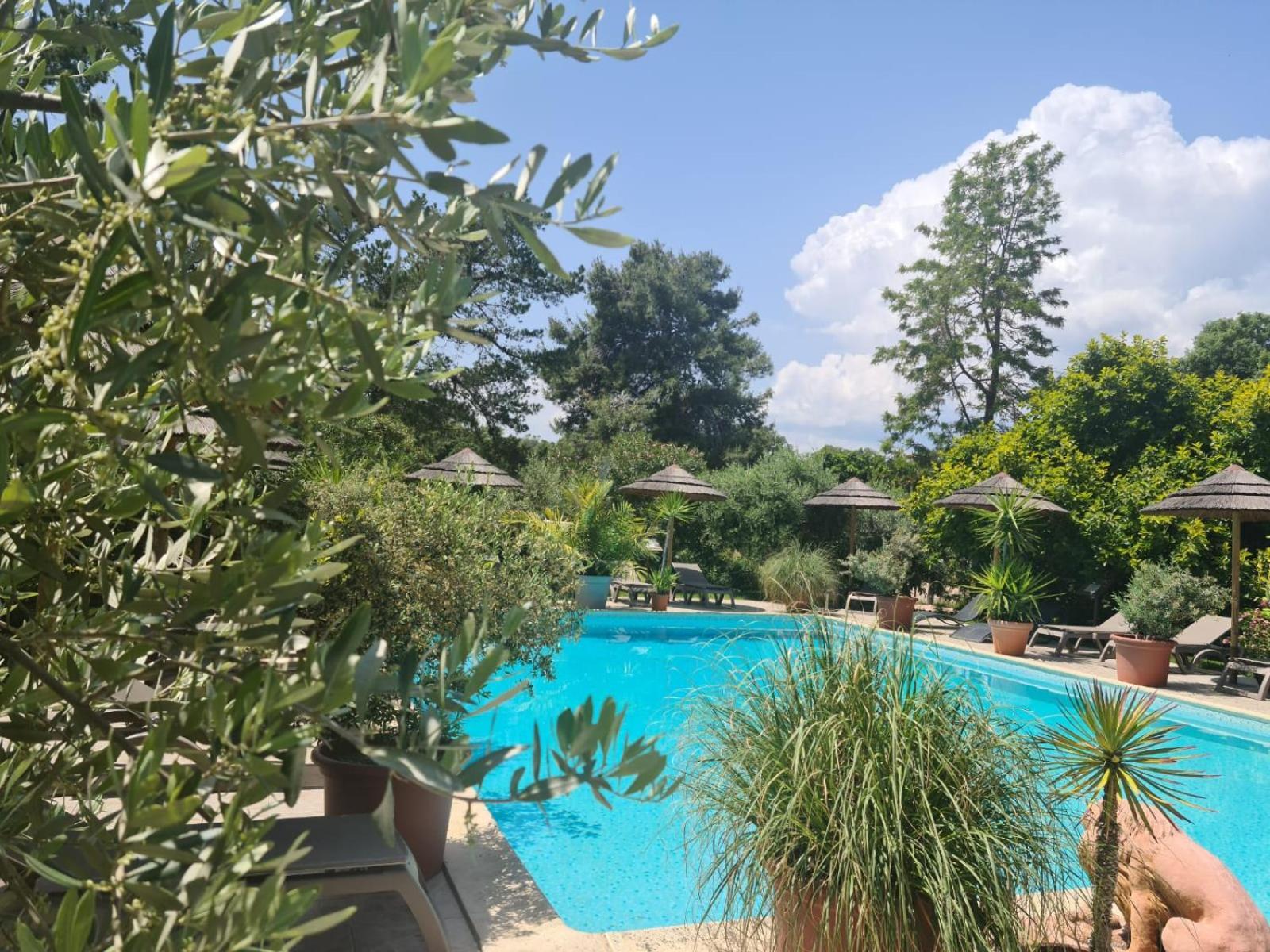 Apartmán Relais De Bravone Linguizzetta Exteriér fotografie